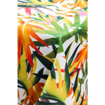Image of Koa, Summer